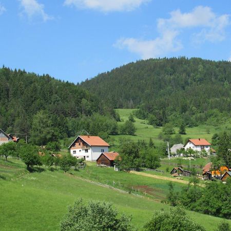 Planinski Mir Zaovine Zewnętrze zdjęcie