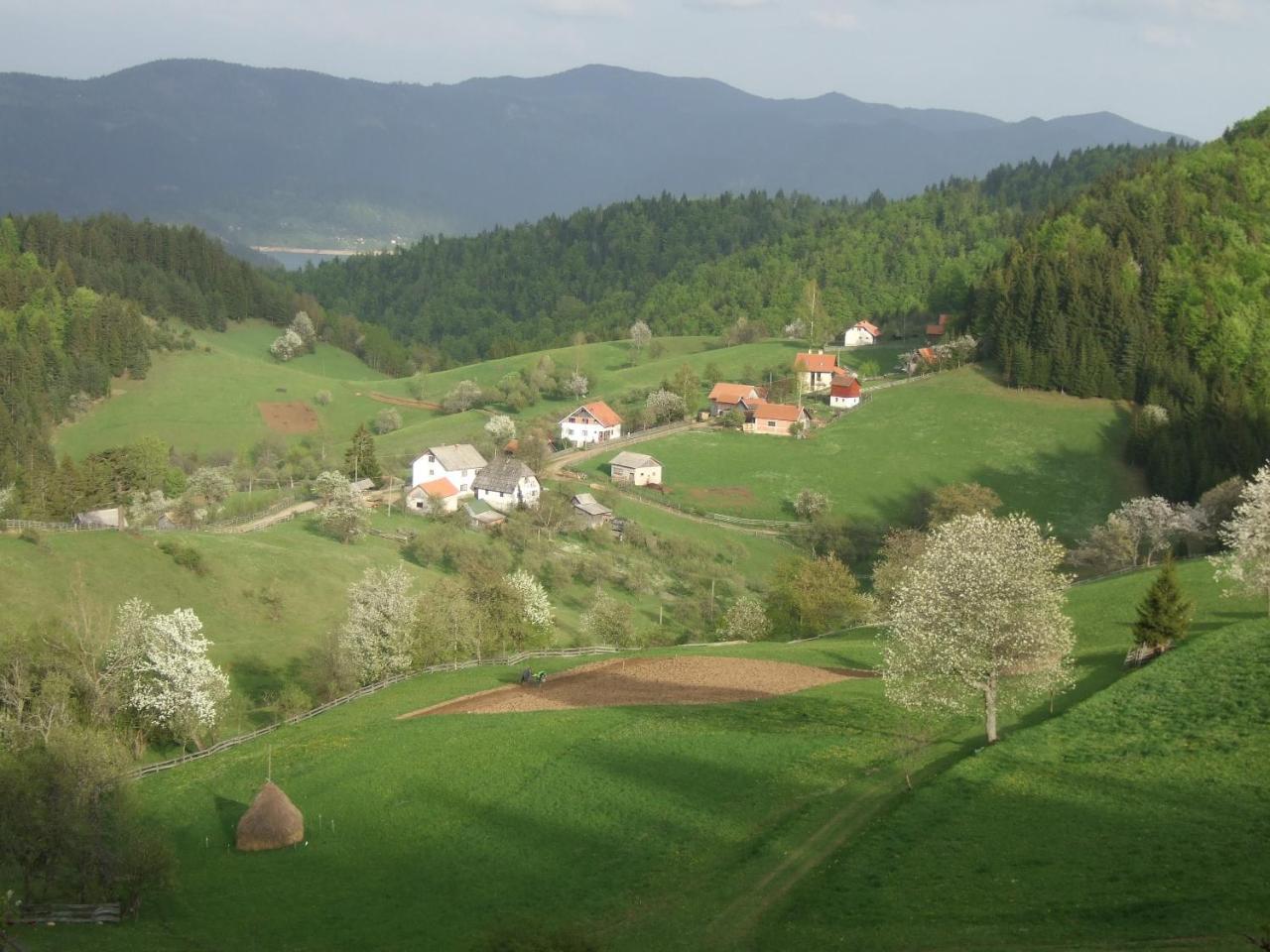Planinski Mir Zaovine Zewnętrze zdjęcie